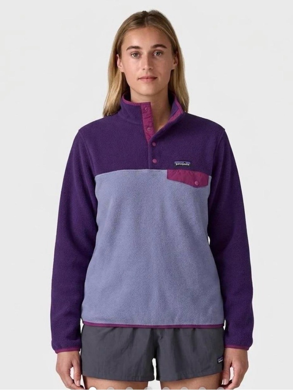 Patagonia Synchilla Snap-T Fleece Pullover Purple Blue Colorblock Women's M